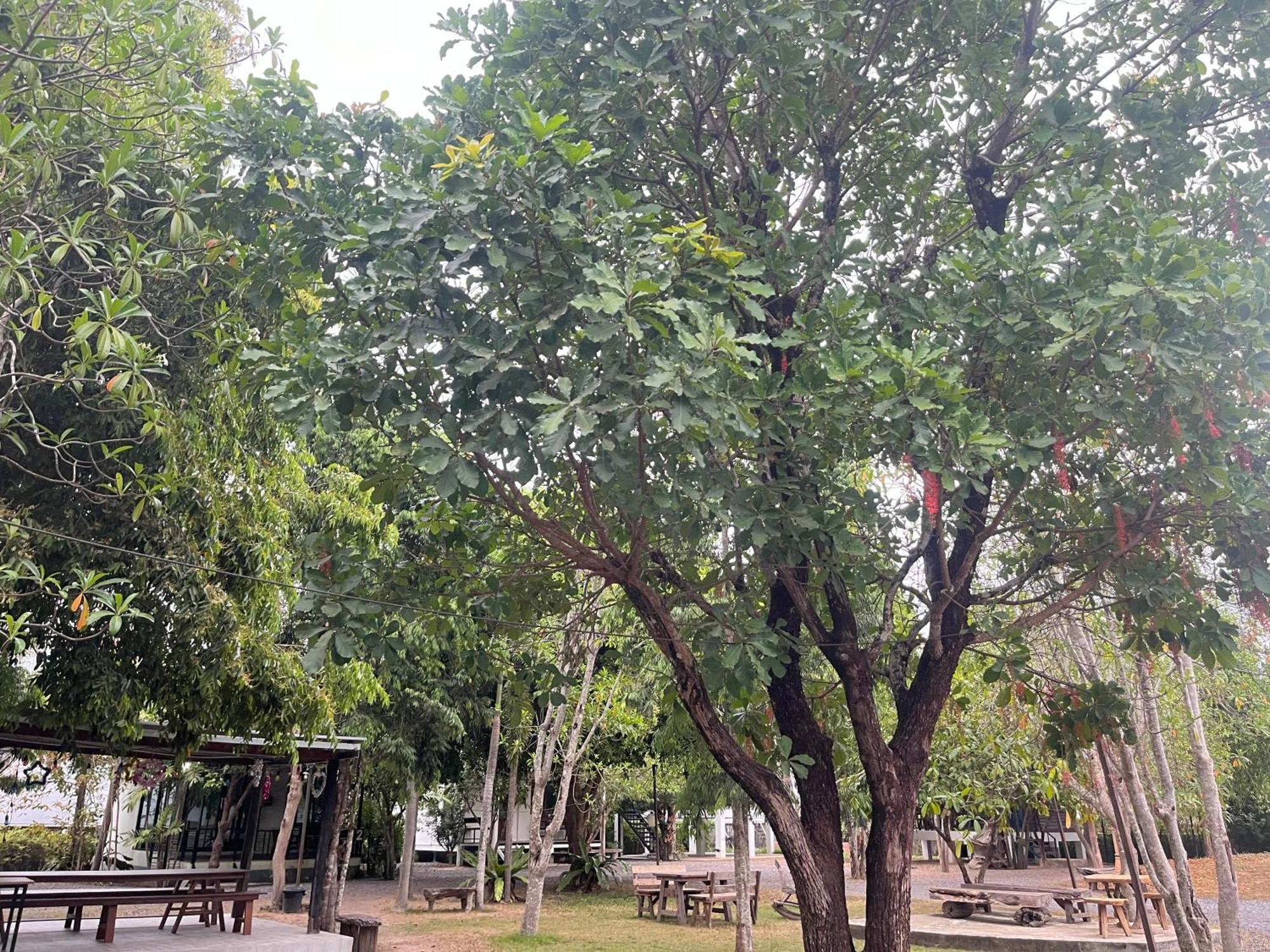Sangkaset Resort Ban Mong Muang Buitenkant foto