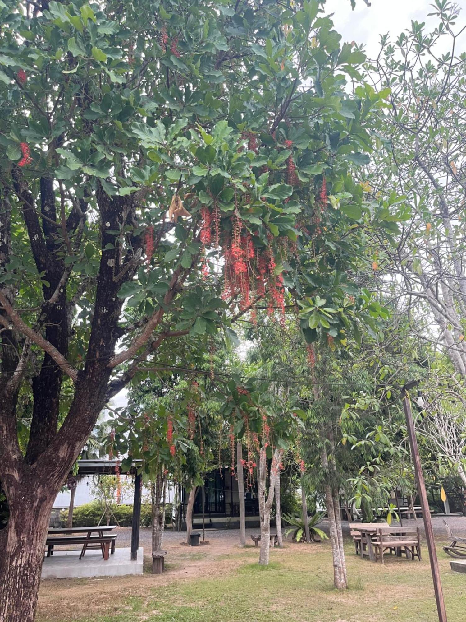 Sangkaset Resort Ban Mong Muang Buitenkant foto